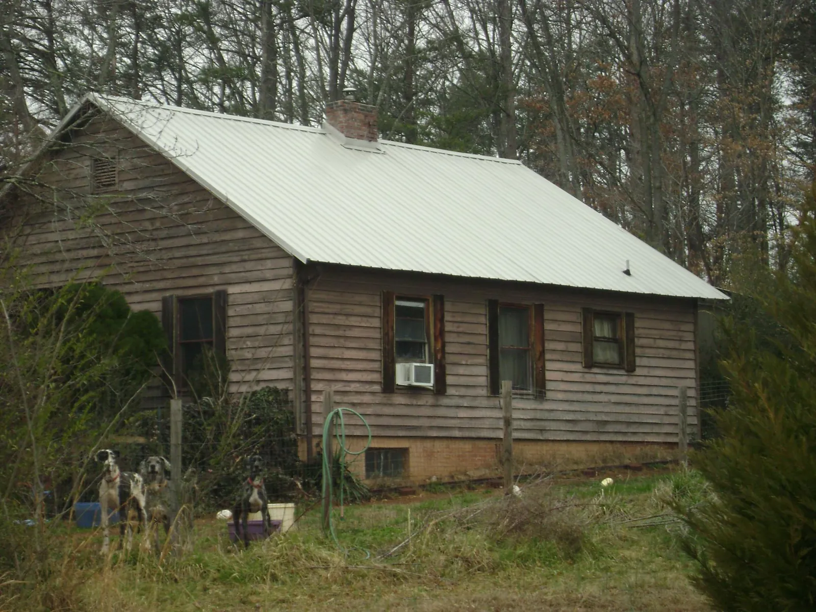 White metal roof on an old wood sided farmhouse, from a Metal Roof Installation job in Dacono
